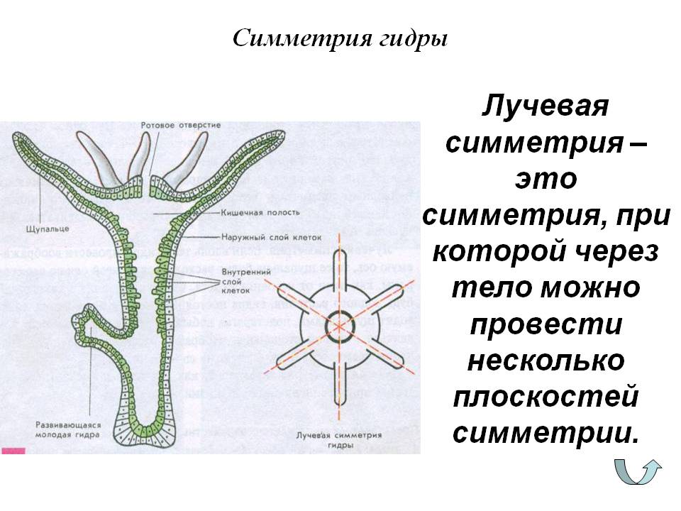 Кракен маркетплейс что это