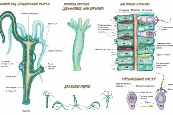 Кракен вход krakens13 at